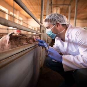 Importance of specialized focus in Projects, Oil & Gas Logistics?